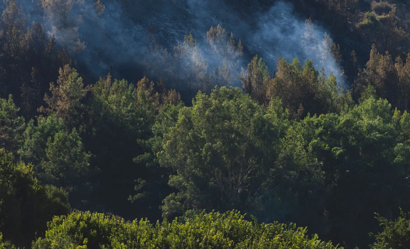 Rook boven een bos na natuurbrand